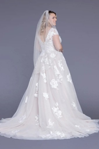 White Rose WP683 #3 thumbnail