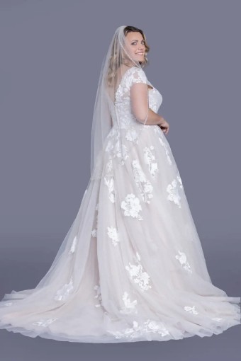 White Rose WP683 #2 thumbnail
