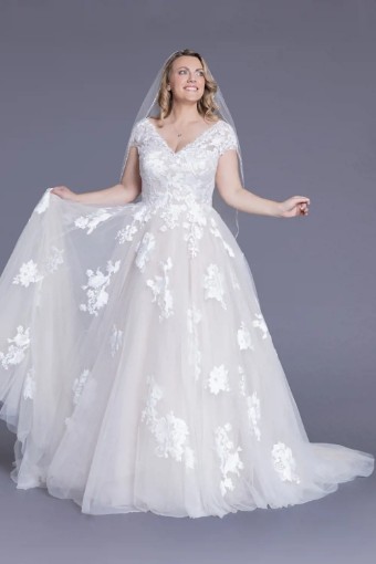 White Rose WP683 #1 thumbnail