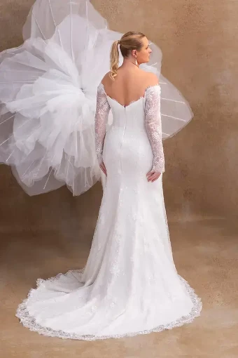 White Rose WP792 #1 thumbnail