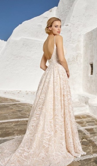 White Rose R1536 #1 thumbnail