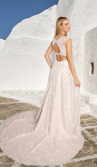 White Rose R1543 #1 thumbnail