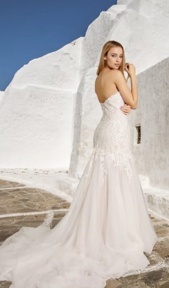 White Rose R1538 #1 thumbnail
